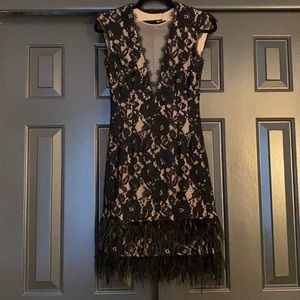 Aidan by Aidan Mattox Lace/Feathers Dress, Size 2, NWOT